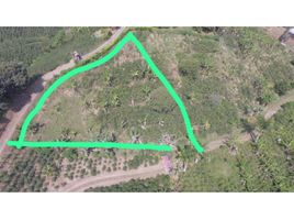  Land for sale in Caldas, Palestina, Caldas