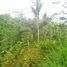  Land for sale in Kerambitan, Tabanan, Kerambitan