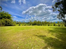  Terreno (Parcela) en venta en La Ceja, Antioquia, La Ceja