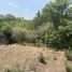  Terreno (Parcela) en venta en Huitzilac, Morelos, Huitzilac