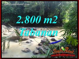  Land for sale in Selemadeg, Tabanan, Selemadeg