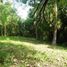  Land for sale in Selemadeg, Tabanan, Selemadeg