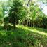  Land for sale in Selemadeg, Tabanan, Selemadeg