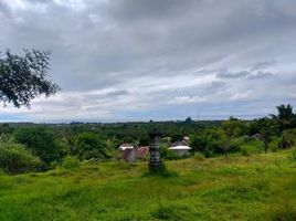  Land for sale in Seririt, Buleleng, Seririt