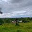  Land for sale in Seririt, Bali, Seririt, Buleleng