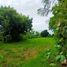  Land for sale in Seririt, Buleleng, Seririt