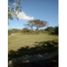  Land for sale in El Palmar Beach, San Carlos, San Carlos