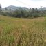  Land for sale in Cimahi Tengah, Bandung, Cimahi Tengah