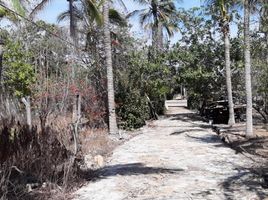  Grundstück zu verkaufen in Coyuca De Benitez, Guerrero, Coyuca De Benitez