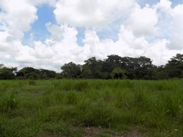  Terreno (Parcela) en venta en Sabanalarga, Atlantico, Sabanalarga