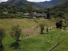 3 Habitación Villa en venta en Colombia, Chinacota, Norte De Santander, Colombia