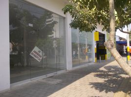 0 SqM Office for rent in Cordoba, Monteria, Cordoba