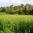  Land for sale in Kerambitan, Tabanan, Kerambitan