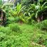  Land for sale in Kerambitan, Tabanan, Kerambitan