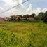  Land for sale in Ciampea, Bogor, Ciampea