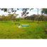 Studio Villa zu verkaufen in Dos Rios, Chiriqui, Dos Rios, Dolega