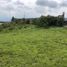  Land for sale in Tumbaco, Quito, Tumbaco