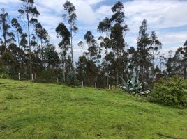  Land for sale in Tumbaco, Quito, Tumbaco