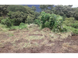  Grundstück zu verkaufen in Chame, Panama Oeste, Nueva Gorgona, Chame