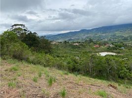  Terreno (Parcela) en venta en Dagua, Valle Del Cauca, Dagua