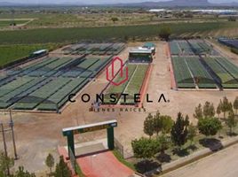  House for sale in Delicias, Chihuahua, Delicias