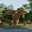  Land for sale in Chankom, Yucatan, Chankom