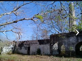 Studio Haus zu verkaufen in Tizimin, Yucatan, Tizimin