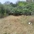  Land for sale in Japonés Jardin del Corazón Park, Coquimbo, Coquimbo