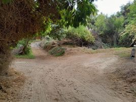  Land for sale in Japonés Jardin del Corazón Park, Coquimbo, Coquimbo