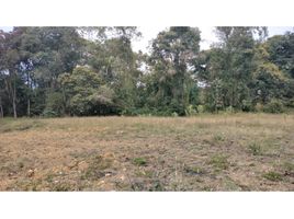  Terreno (Parcela) en venta en La Ceja, Antioquia, La Ceja