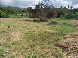  Terreno (Parcela) en venta en La Mesa, Cundinamarca, La Mesa