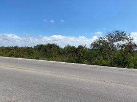  Grundstück zu verkaufen in Ixil, Yucatan, Ixil