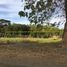  Land for sale in Piddig, Ilocos, Piddig