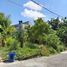  Land for sale in Kerobokan, Bali, Kerobokan