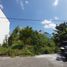  Land for sale in Kerobokan, Bali, Kerobokan