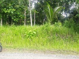  Tanah for sale in Pengasih, Kulon Progo, Pengasih