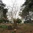  Villa zu verkaufen in General Pueyrredon, Buenos Aires, General Pueyrredon