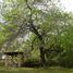 Studio Villa for sale in Los Ramones, Nuevo Leon, Los Ramones