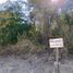  Land for rent in Tuxtla Gutierrez, Chiapas, Tuxtla Gutierrez