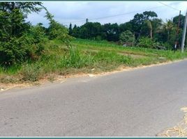  Land for sale in Prambanan, Klaten, Prambanan