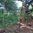  Terreno (Parcela) en venta en Sawangan, West Jawa, Sawangan