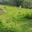  Land for sale in Cali, Valle Del Cauca, Cali