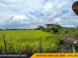  Land for rent in Guayas, Los Lojas Enrique Baquerizo Moreno, Daule, Guayas