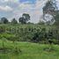 3 Bedroom House for rent in Calarca, Quindio, Calarca