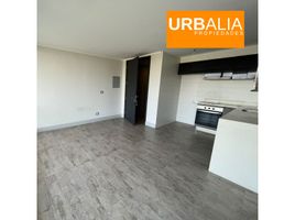 1 Bedroom Apartment for rent in Chile, Vina Del Mar, Valparaiso, Valparaiso, Chile