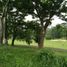  Land for sale in Pandaan, East Jawa, Pandaan, Pasuruan