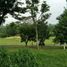  Land for sale in Pandaan, East Jawa, Pandaan, Pasuruan