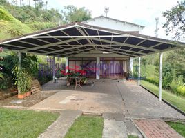6 Schlafzimmer Villa zu verkaufen in Pereira, Risaralda, Pereira