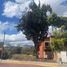  Grundstück zu verkaufen in Naucalpan De Juarez, Mexico, Naucalpan De Juarez