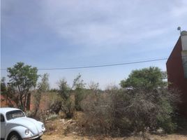  Grundstück zu verkaufen in Ocoyucan, Puebla, Ocoyucan